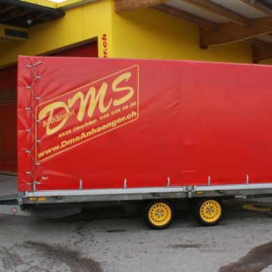 Anhänger 16 Saris ZW3500